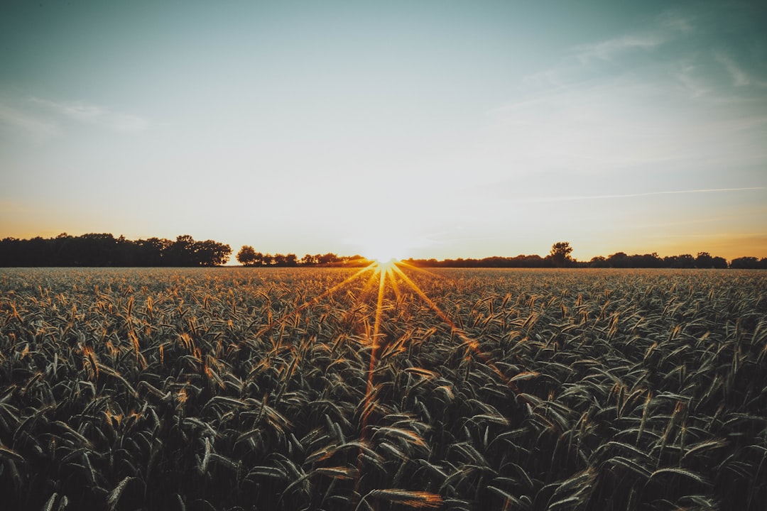 rural communities