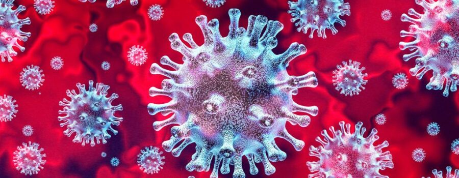 Coronavirus - Bison Immigration Consulting